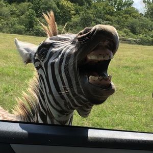 Meet your Posher, Scott